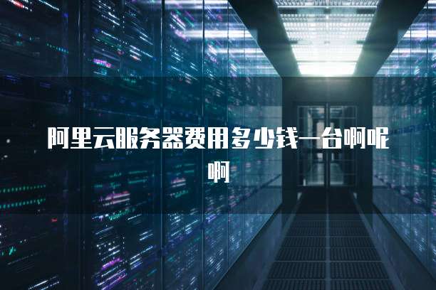 阿里云服务器费用多少钱一台啊呢啊