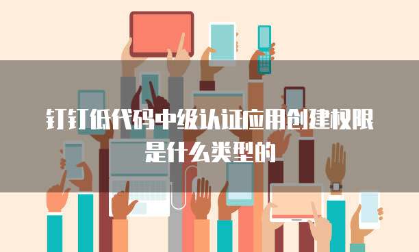 钉钉低代码中级认证应用创建权限是什么类型的