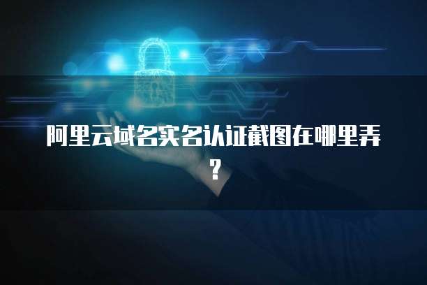 阿里云域名实名认证截图在哪里弄?