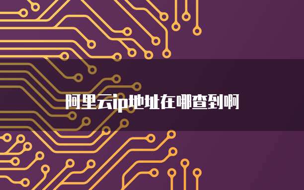 阿里云ip地址在哪查到啊