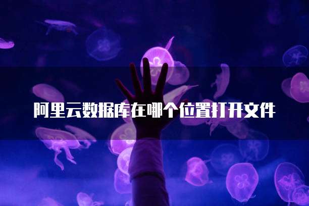 阿里云数据库在哪个位置打开文件