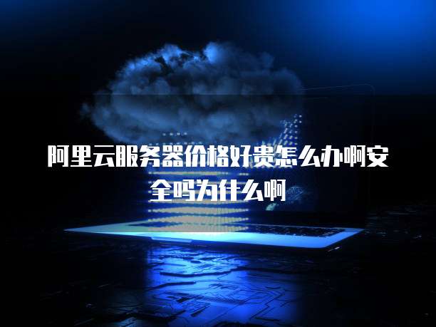 阿里云服务器价格好贵怎么办啊安全吗为什么啊