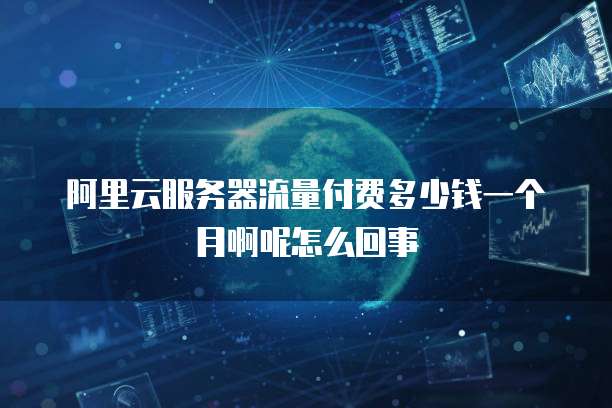 阿里云服务器流量付费多少钱一个月啊呢怎么回事