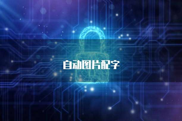 阿里云服务器 IP 地址的价格是多少?