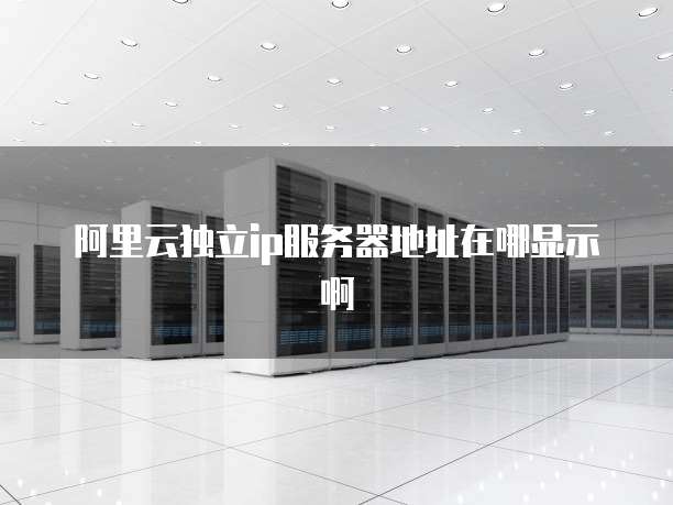 阿里云独立ip服务器地址在哪显示啊