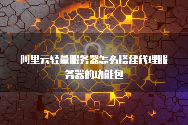 阿里云轻量服务器怎么搭建代理服务器的功能包
