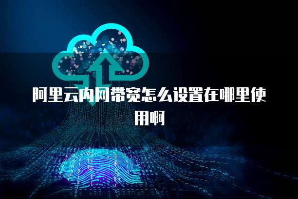 阿里云内网带宽怎么设置在哪里使用啊