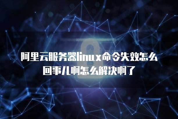 阿里云服务器linux命令失效怎么回事儿啊怎么解决啊了