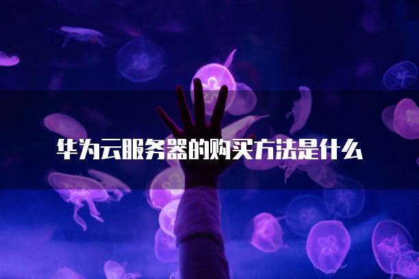 ssh连接阿里云服务器失败怎么办啊