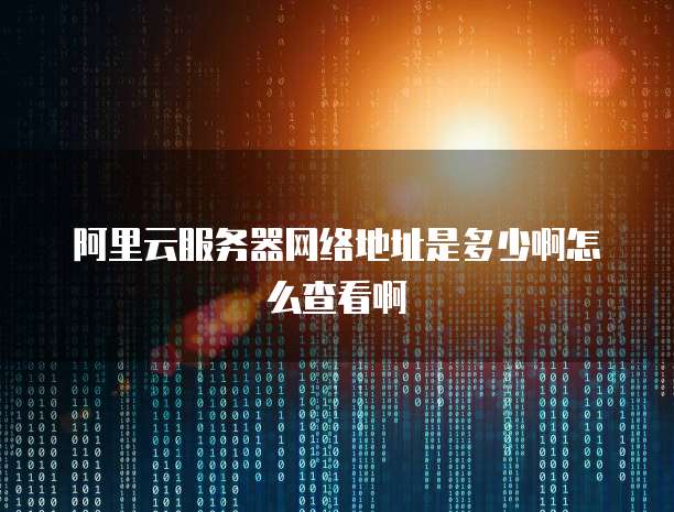 阿里云服务器网络地址是多少啊怎么查看啊