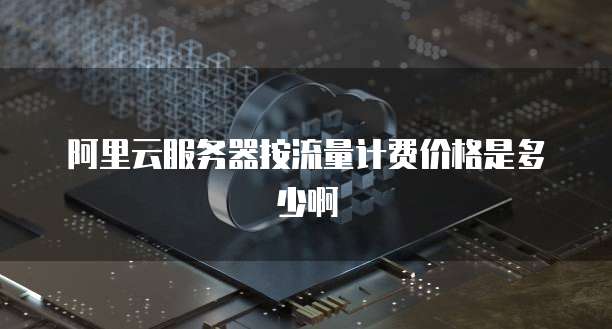 阿里云服务器按流量计费价格是多少啊