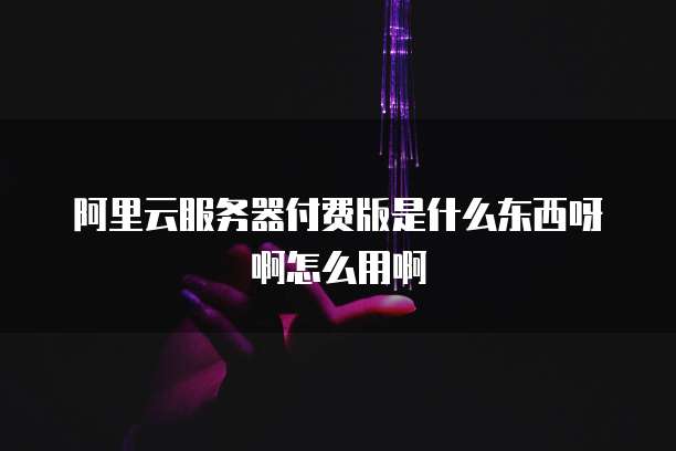 阿里云服务器付费版是什么东西呀啊怎么用啊