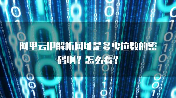 阿里云IP解析网址是多少位数的密码啊?怎么看?