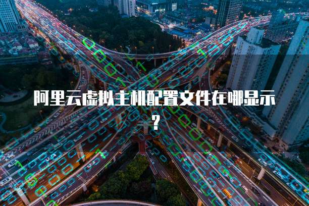 阿里云虚拟主机配置文件在哪显示？