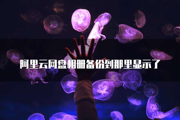 阿里云网盘相册备份到那里显示了