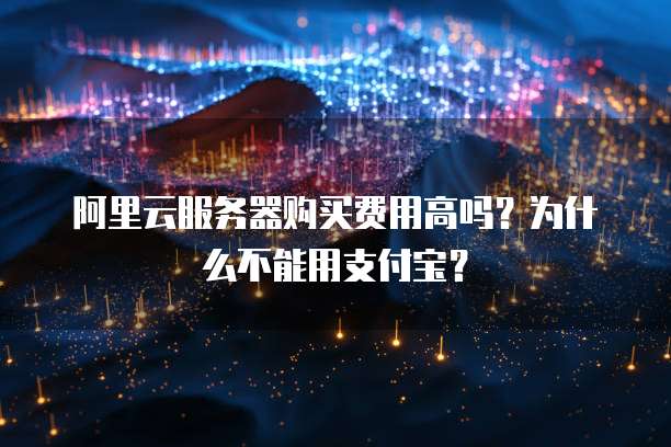 阿里云服务器购买费用高吗?为什么不能用支付宝?