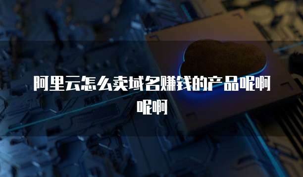 阿里云怎么卖域名赚钱的产品呢啊呢啊