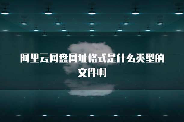 阿里云网盘网址格式是什么类型的文件啊