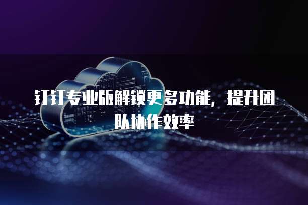 钉钉专业版解锁更多功能，提升团队协作效率