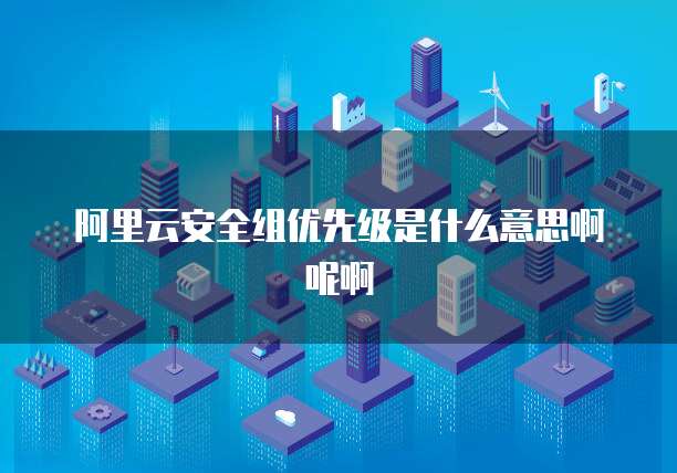 阿里云安全组优先级是什么意思啊呢啊