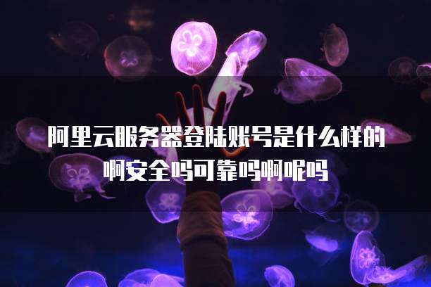 阿里云服务器登陆账号是什么样的啊安全吗可靠吗啊呢吗