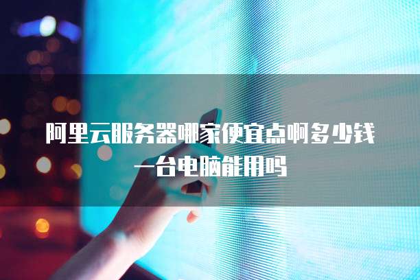 阿里云服务器哪家便宜点啊多少钱一台电脑能用吗