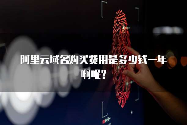 阿里云域名购买费用是多少钱一年啊呢?