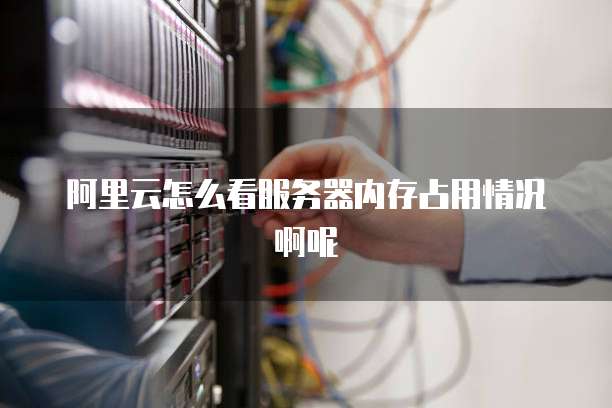 阿里云怎么看服务器内存占用情况啊呢