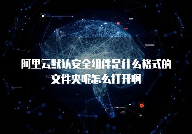 阿里云默认安全组件是什么格式的文件夹呢怎么打开啊