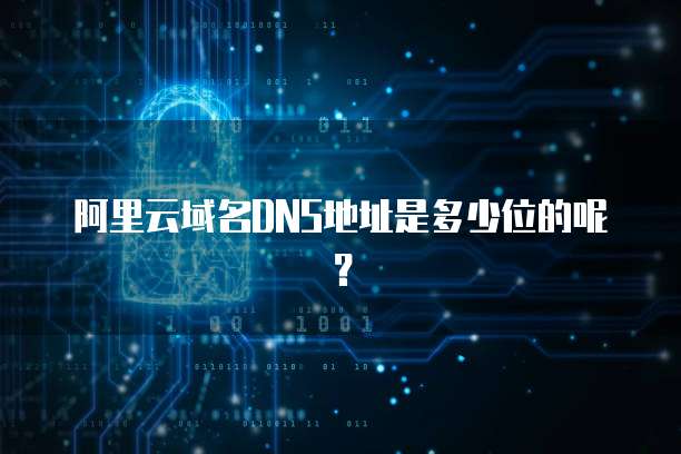 阿里云域名DNS地址是多少位的呢？