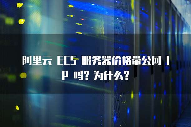阿里云 ECS 服务器价格带公网 IP 吗?为什么?