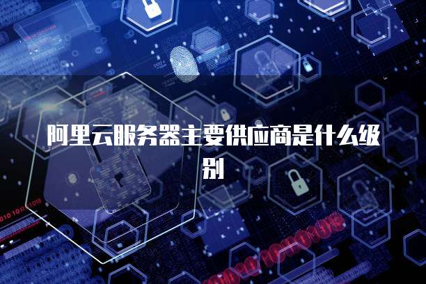 阿里云服务器主要供应商是什么级别