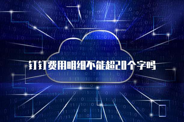 钉钉费用明细不能超20个字吗