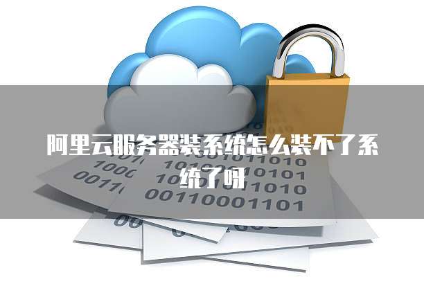 阿里云服务器装系统怎么装不了系统了呀