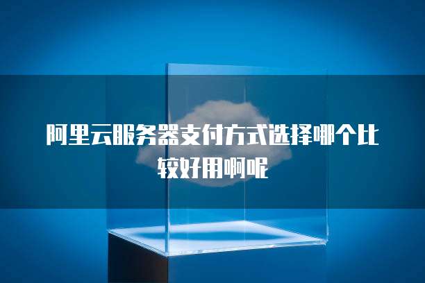阿里云服务器支付方式选择哪个比较好用啊呢