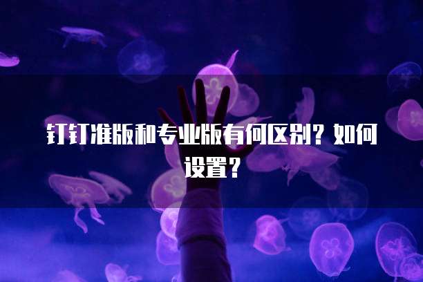 钉钉准版和专业版有何区别？如何设置？