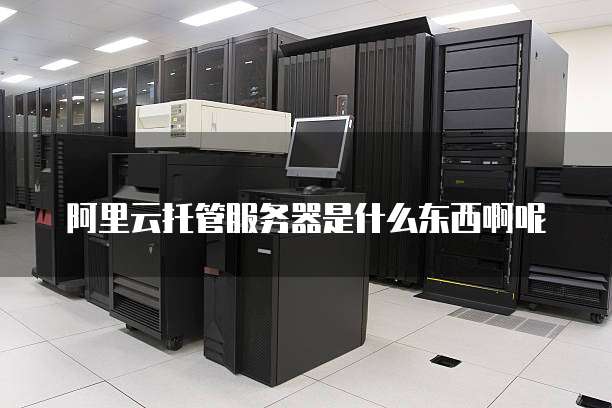 阿里云托管服务器是什么东西啊呢