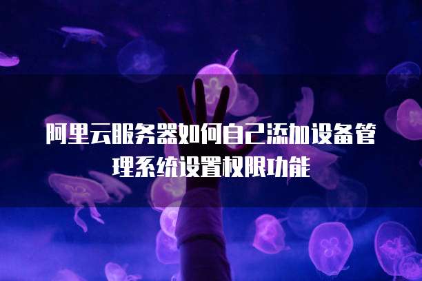 阿里云服务器如何自己添加设备管理系统设置权限功能