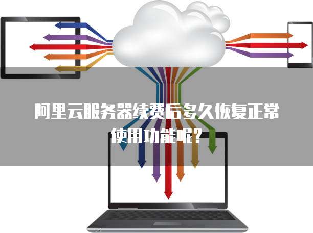 阿里云服务器续费后多久恢复正常使用功能呢?