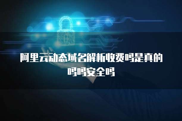 阿里云动态域名解析收费吗是真的吗吗安全吗