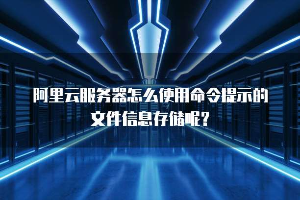 阿里云服务器怎么使用命令提示的文件信息存储呢？