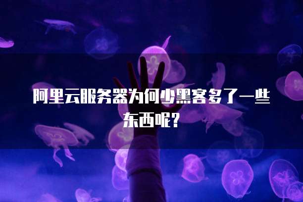 阿里云服务器为何少黑客多了一些东西呢?