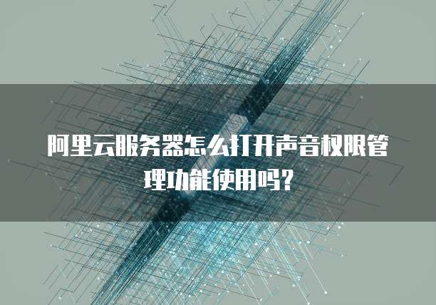 阿里云服务器怎么打开声音权限管理功能使用吗?