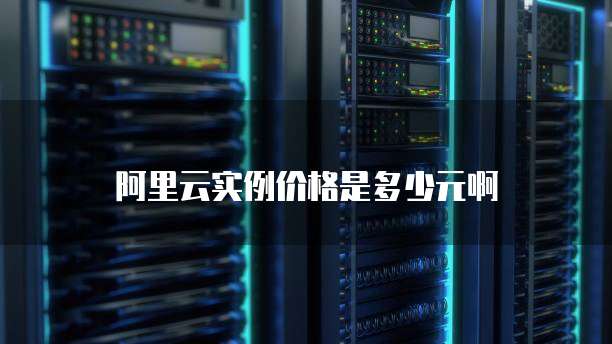 阿里云实例价格是多少元啊