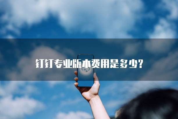 钉钉专业版本费用是多少?