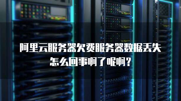 阿里云服务器欠费服务器数据丢失怎么回事啊了呢啊?