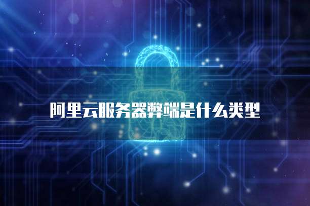 阿里云服务器弊端是什么类型