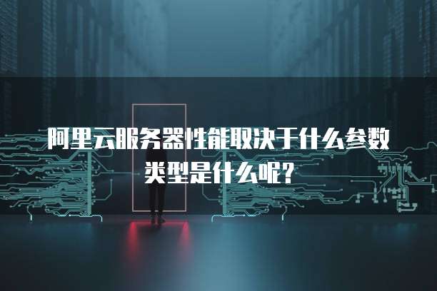 阿里云服务器性能取决于什么参数类型是什么呢?