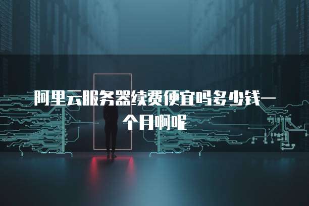 阿里云服务器续费便宜吗多少钱一个月啊呢