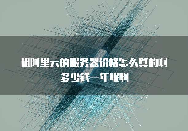 租阿里云的服务器价格怎么算的啊多少钱一年呢啊